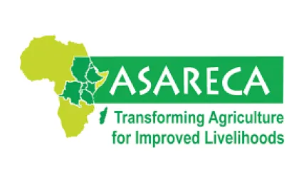 Association for Strengthening Agricultural Research in Eastern and Central Africa (ASARECA)